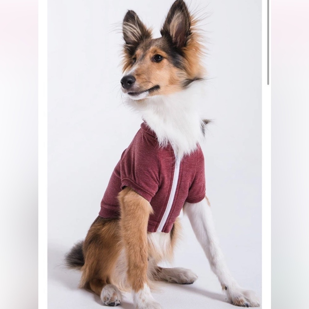 Z Supply zip up doggie hoodie